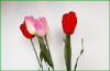 Code_F_105(1 fleur)