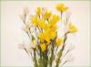 Code_F_107(1 fleur)
