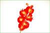 Code_F_102 (1 fleur)