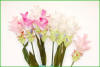 Code_F_101(1 fleur)