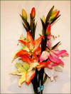 Code_A_101(bouquet)