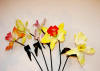 Code_F_117(1 fleur)