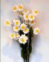 Code_F_110(1 fleur)