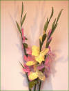 Code_F_111(1 fleur)