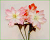 Code_F_116(1 fleur)