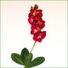 Code_F_112(1 fleur)